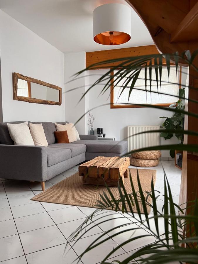 Appartement Spacieux Au Pays Du Mont-Blanc ซาล็องช์ ภายนอก รูปภาพ